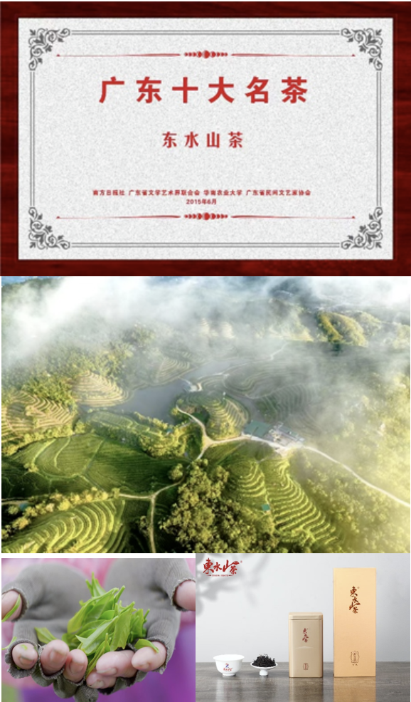 广货行天下| 阳西佳味:那茶,那蚝,那海鸭蛋……