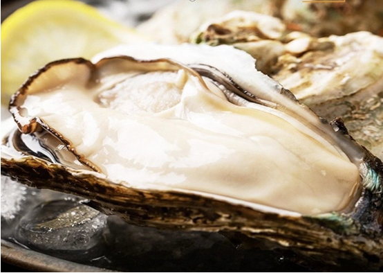 广货行天下| 阳西佳味:那茶,那蚝,那海鸭蛋……