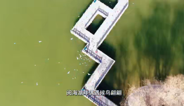 央视主持人海霞倾情推介!在银川,共度“醉”美中国年!