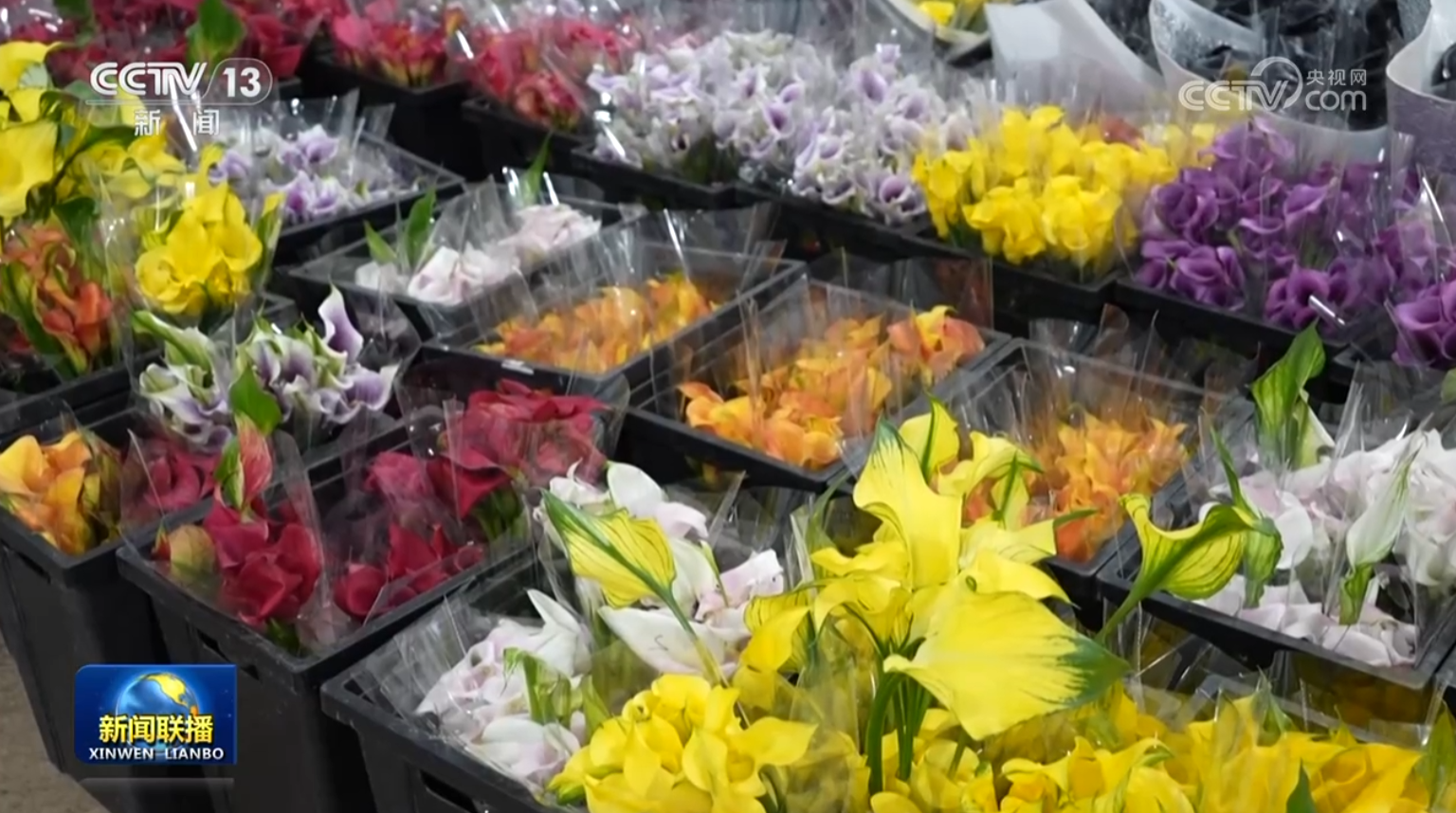 南北花市红火 年宵花点亮消费市场