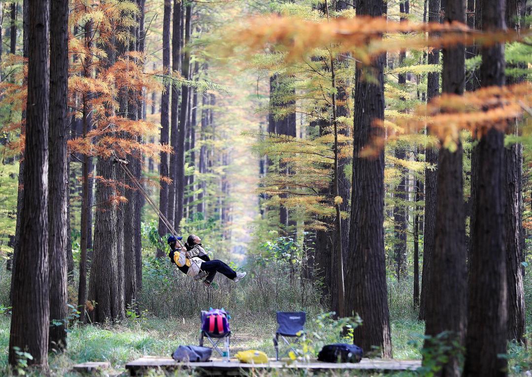 湖北新春第一会,释放7大重磅信号