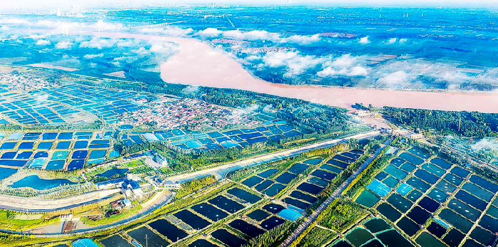 博兴县乔庄镇20多年间深耕南美白对虾养殖，培育出超十亿级富民产业