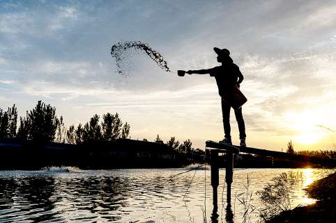 博兴县乔庄镇20多年间深耕南美白对虾养殖，培育出超十亿级富民产业
