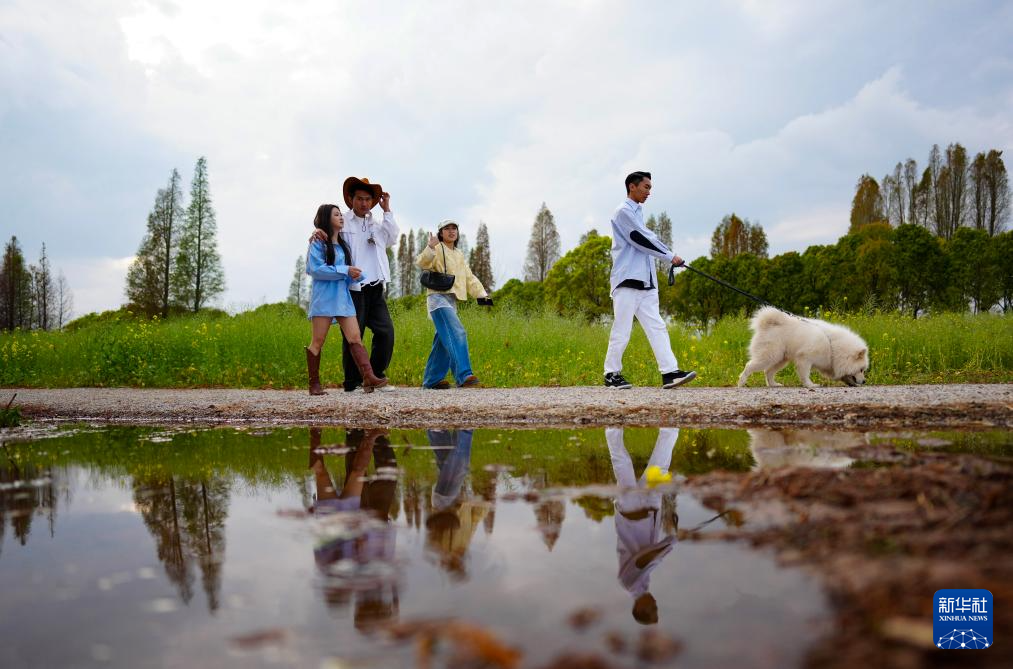 春日滇池引客来