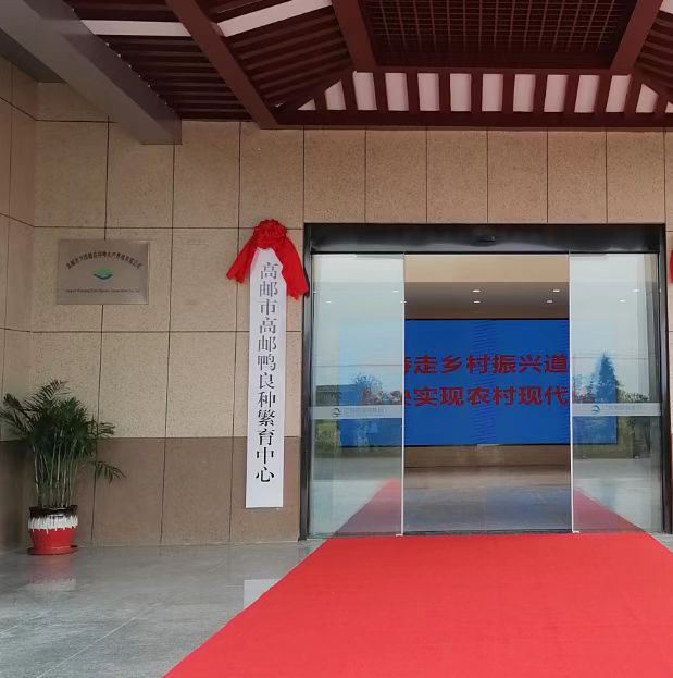 江苏高邮：水乡牧歌奏新曲 产业振兴富民生