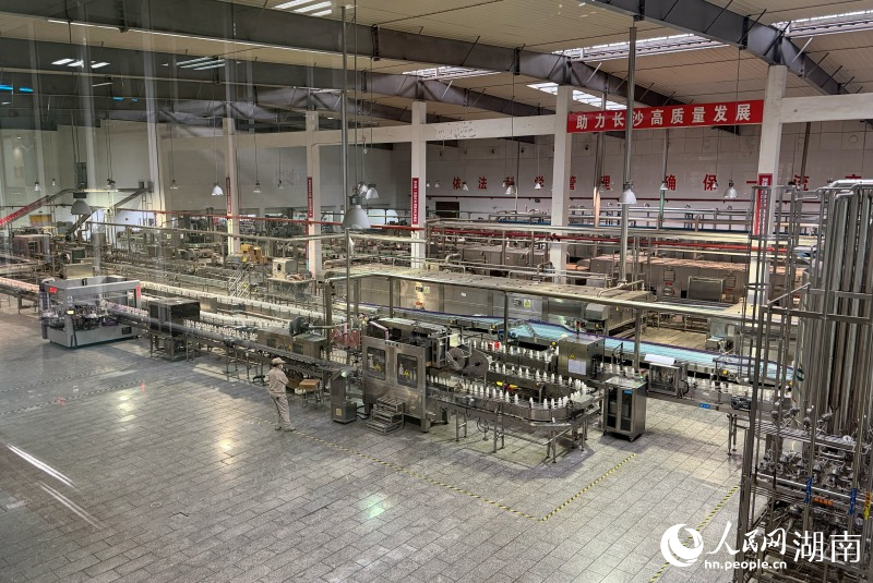 小洋人自动化生产线。人民网记者 林洛钴摄