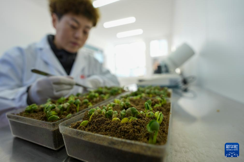 全国产粮第一大省黑龙江进入“备耕时间”