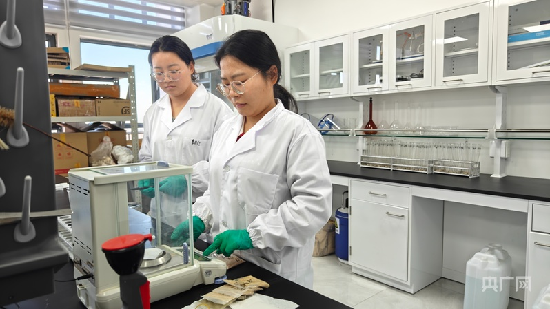 行稳致远开新局丨天山逐雪戈壁耕“云” 数字赋能智启“疆”来