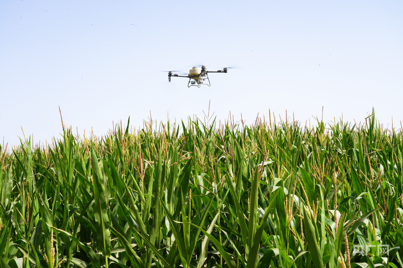 行稳致远开新局丨天山逐雪戈壁耕“云” 数字赋能智启“疆”来 行稳致远开新局丨天山逐雪戈壁耕“云” 数字赋能智启“疆”来