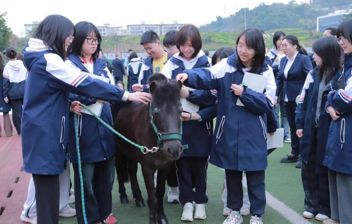 骏马进校园，重庆南城巴川学校开学典礼“马力十足”