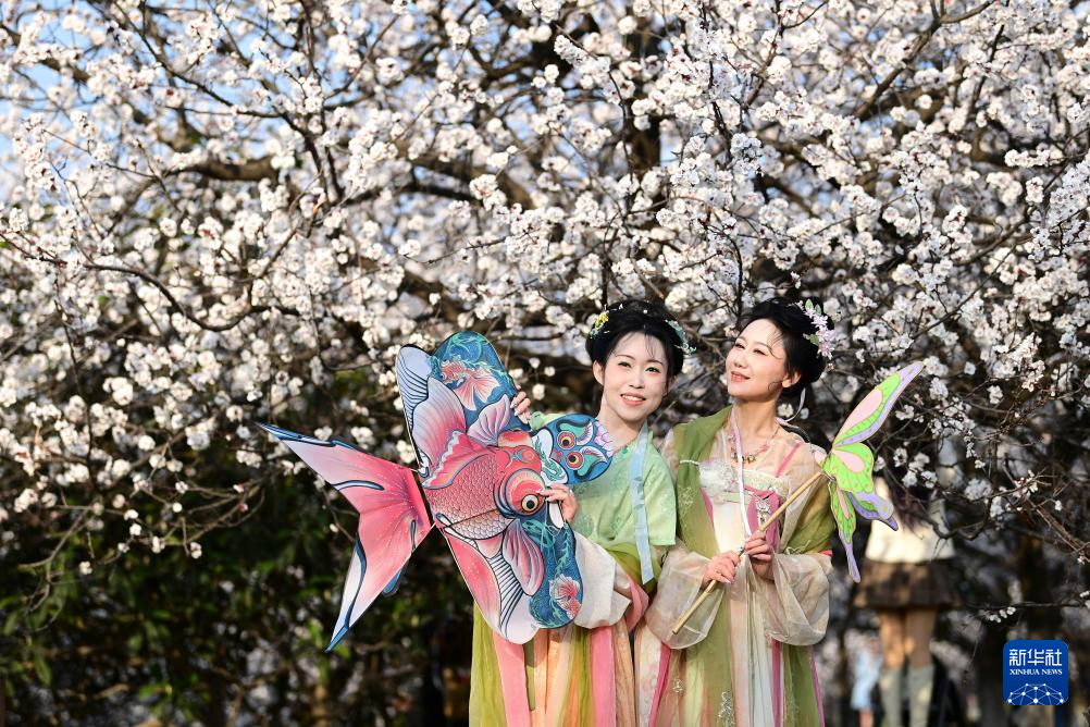 长安春日繁花开