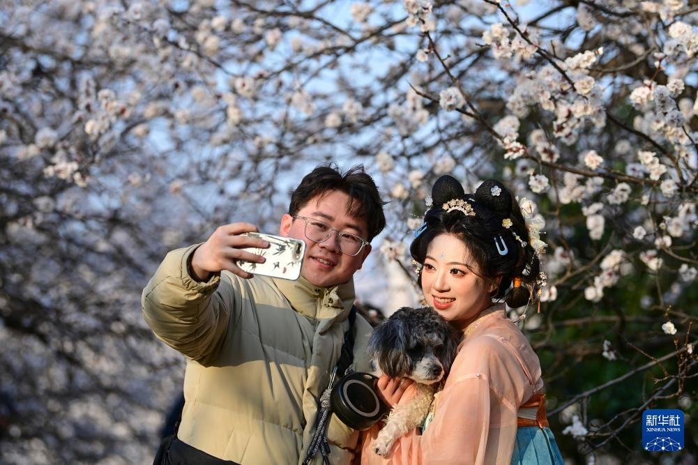 长安春日繁花开