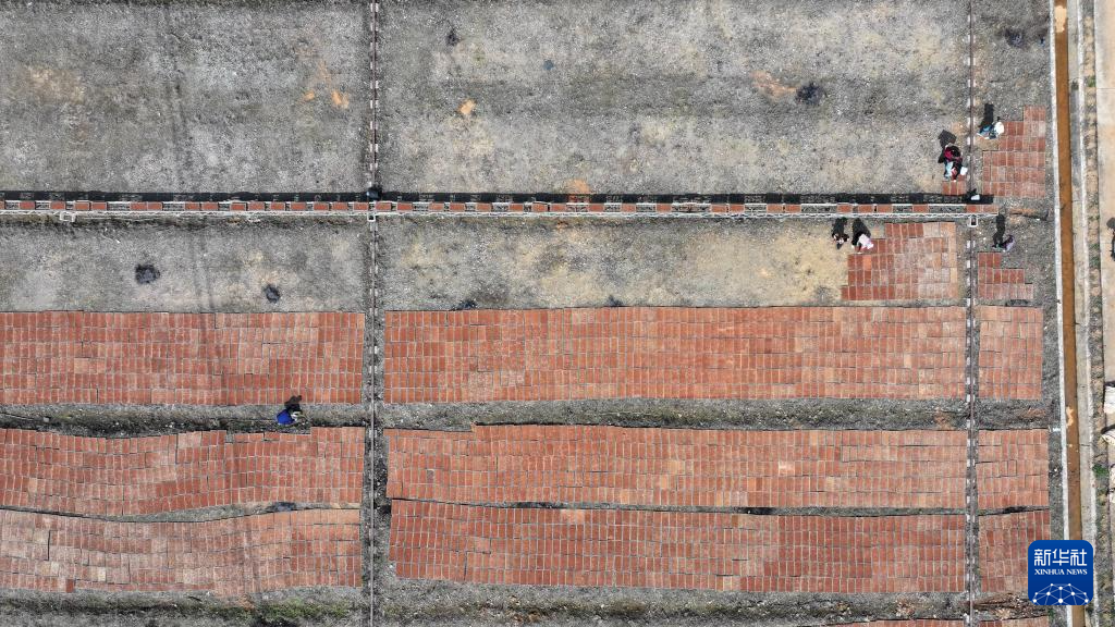 三湘大地备春耕