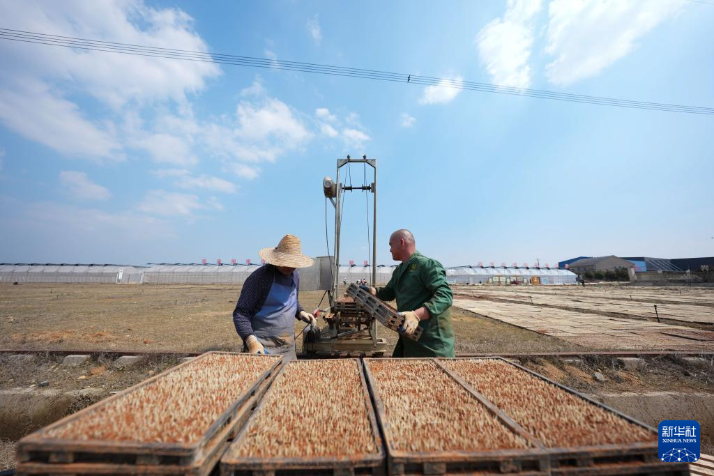 三湘大地备春耕