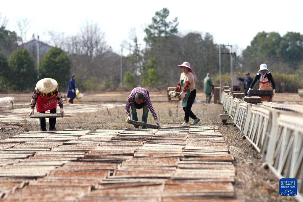三湘大地备春耕