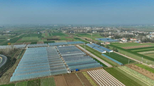 一个村庄的蝶变密码