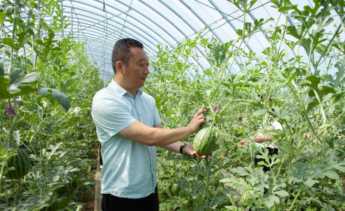 一个村庄的蝶变密码