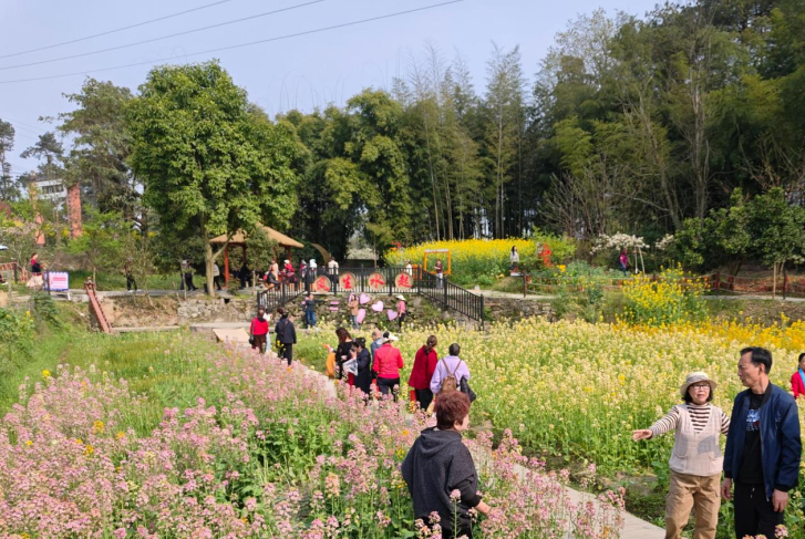 春风拂过重庆永川梨花，福彩“种下”的幸福结果了