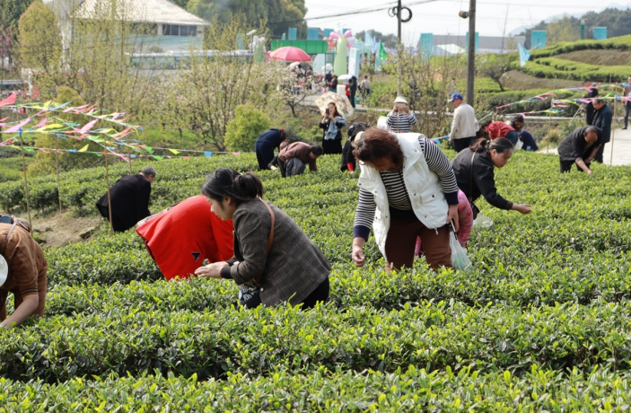 文旅牵线 生态赋能 重庆璧山美丽乡村打造消费新场景