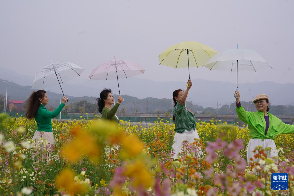 江西南昌:彩色油菜花田春光正好
