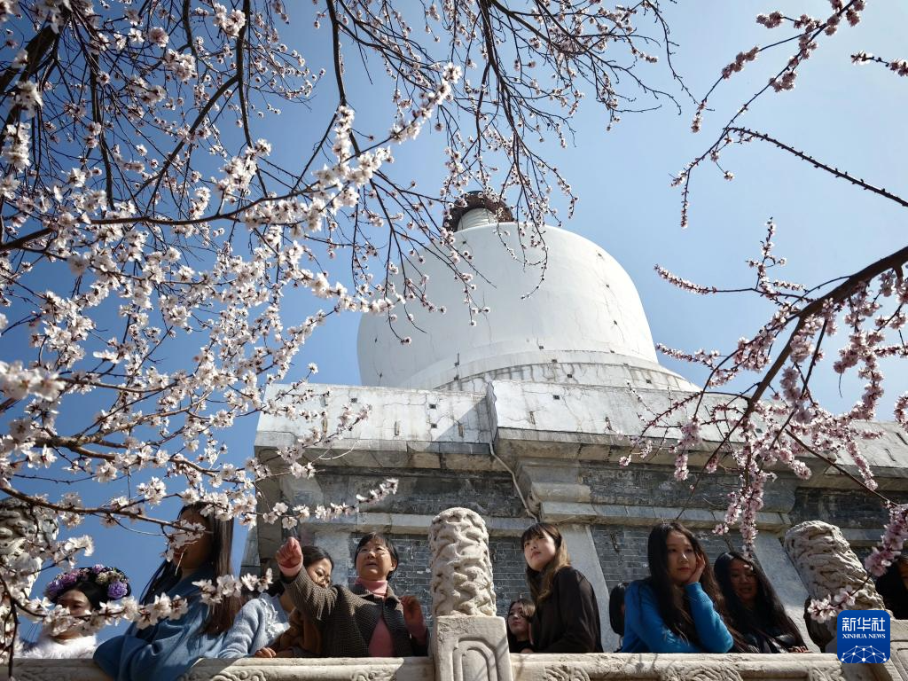 北海公园春色美