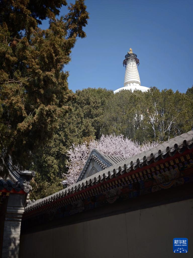 北海公园春色美