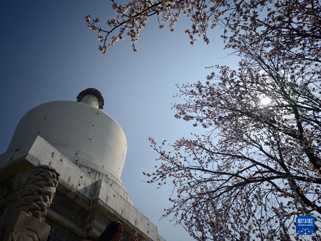 北海公园春色美