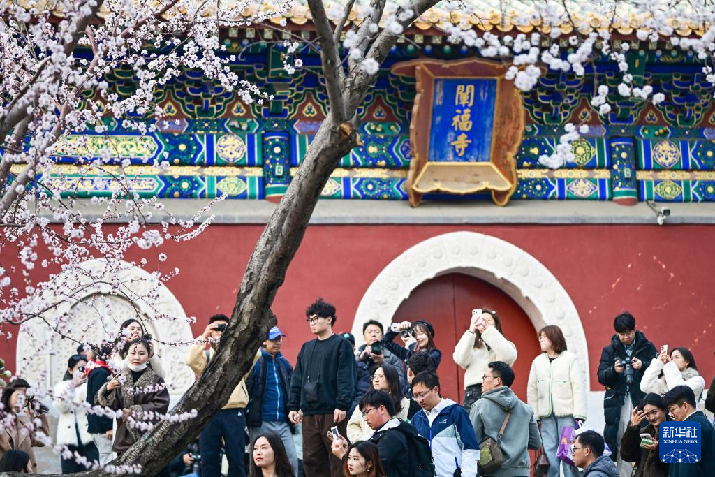 北海公园春色美