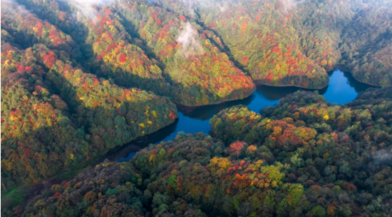 宽阔水国家级自然保护区景色。
