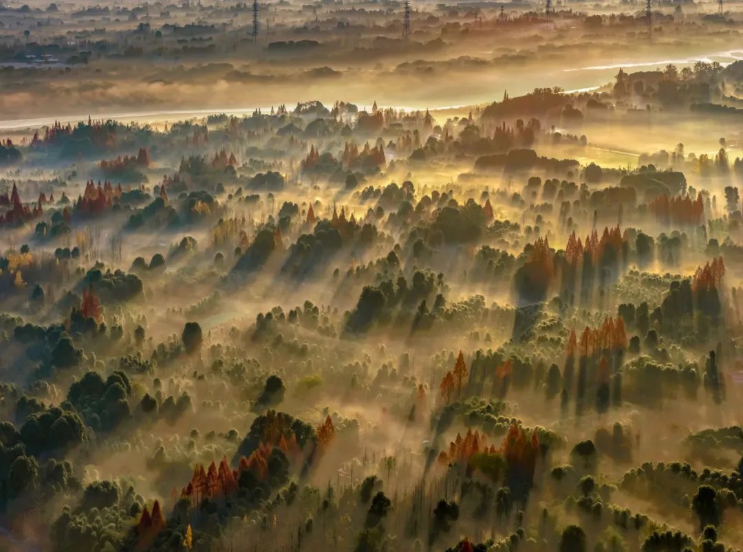 外交部发言人海外推荐成都!