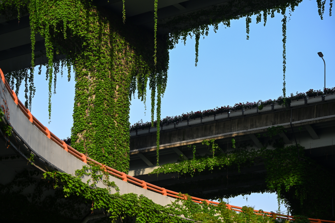 外交部发言人海外推荐成都!