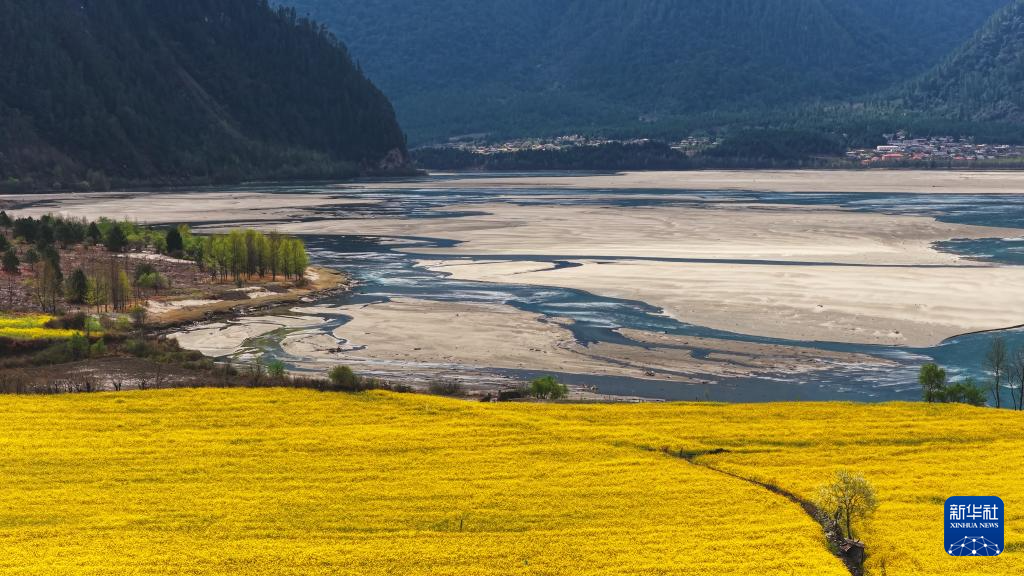 西藏波密:花开易贡春正浓