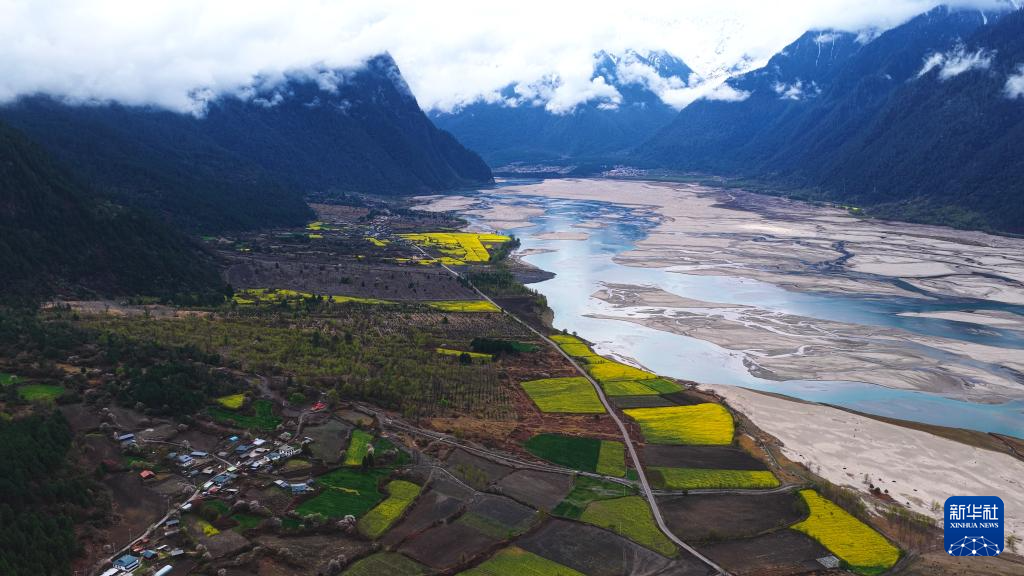 西藏波密:花开易贡春正浓