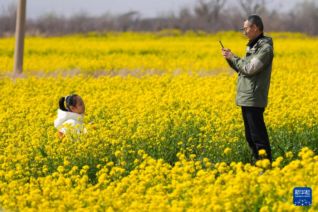 山西运城:花海春色