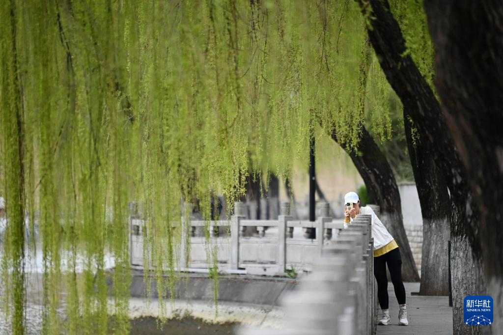 全民健身丨西安古城墙下涌动体育春潮