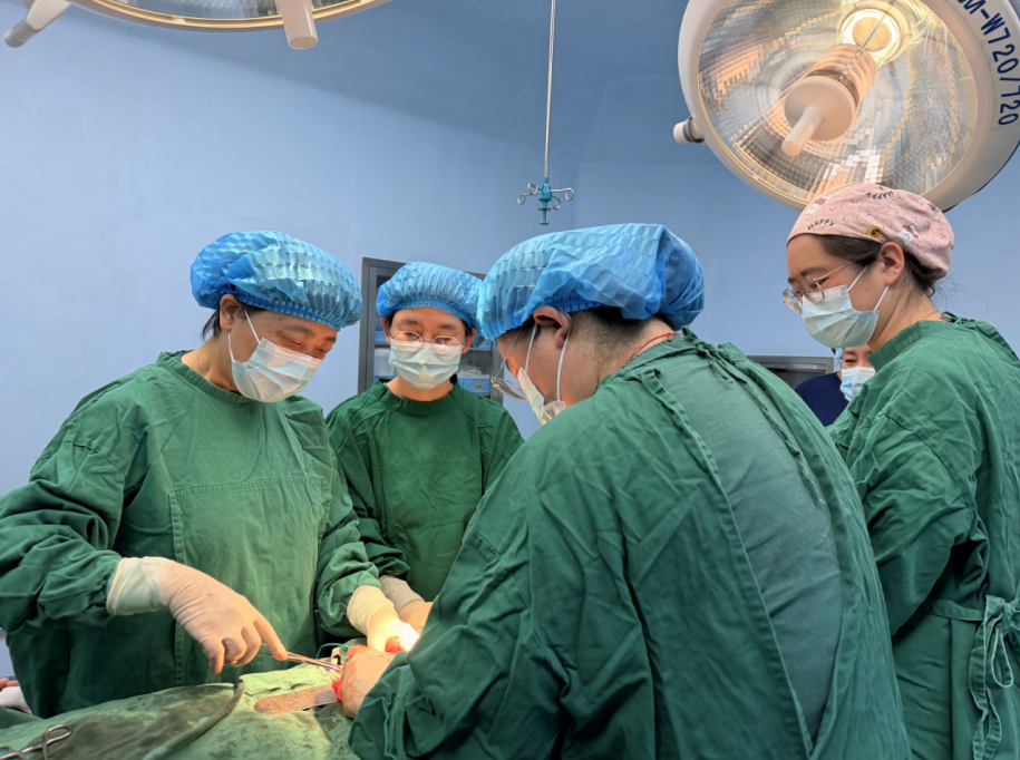 “乌海实践”让京蒙医疗合作华章再现