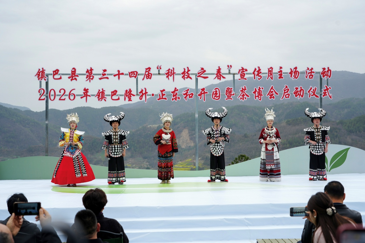 陕西镇巴：科技赋能茶产业 春茶开园促振兴