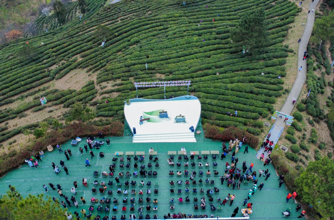 陕西镇巴：科技赋能茶产业 春茶开园促振兴