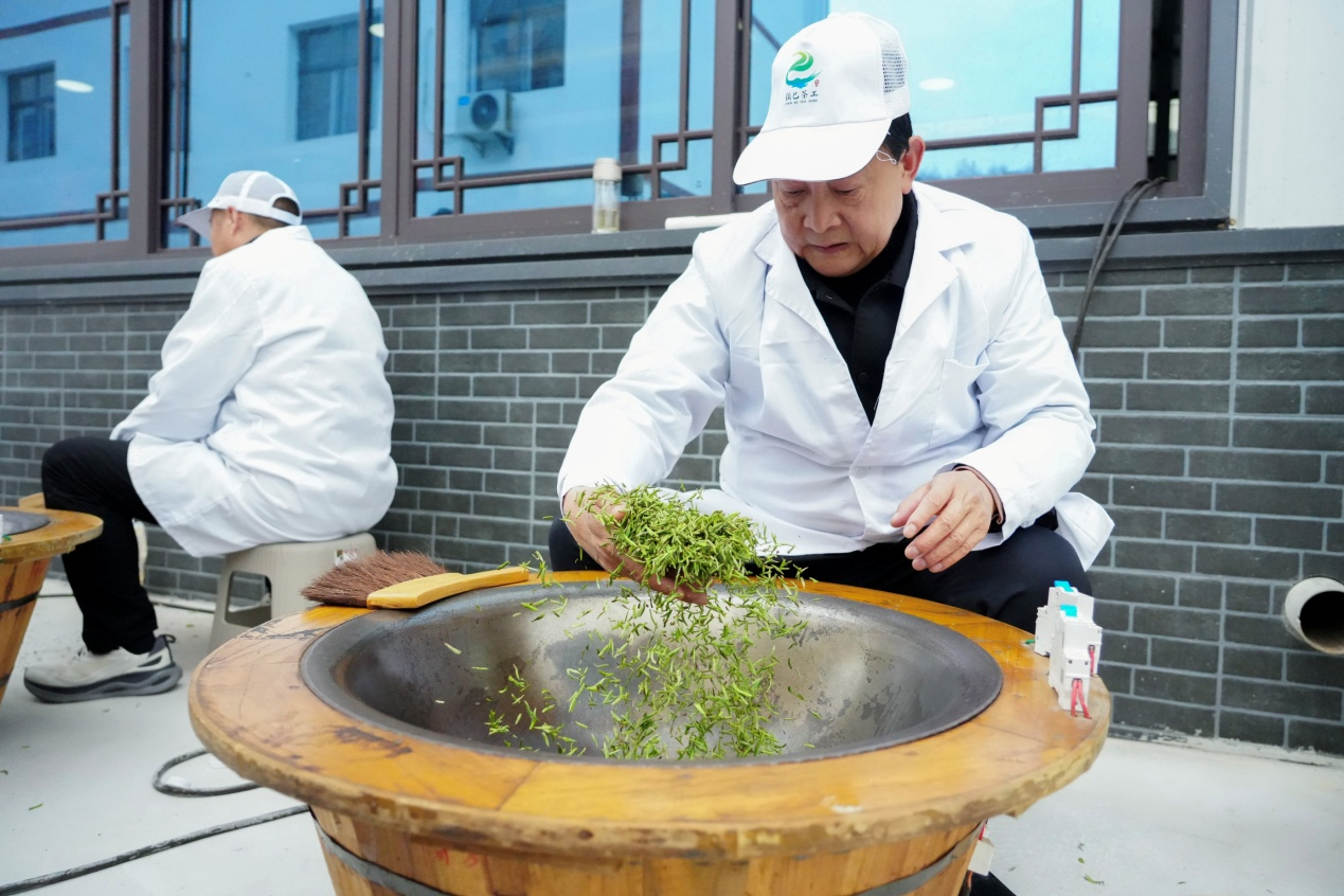 陕西镇巴：科技赋能茶产业 春茶开园促振兴