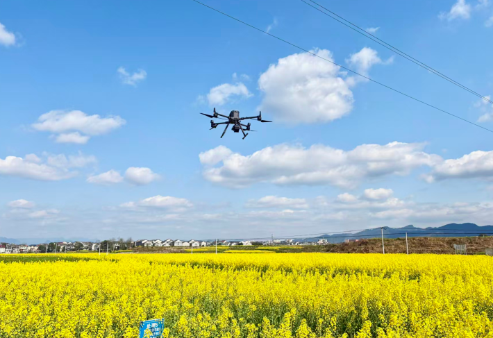 重庆秀山万亩粮油示范基地蹚出传统农业转型新路