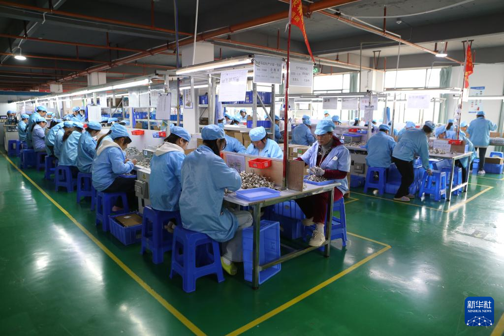 云南会泽:聚焦搬迁群众家门口就业需求