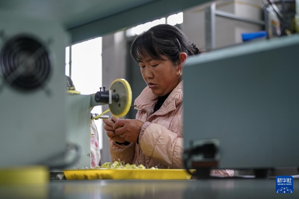 云南会泽:聚焦搬迁群众家门口就业需求