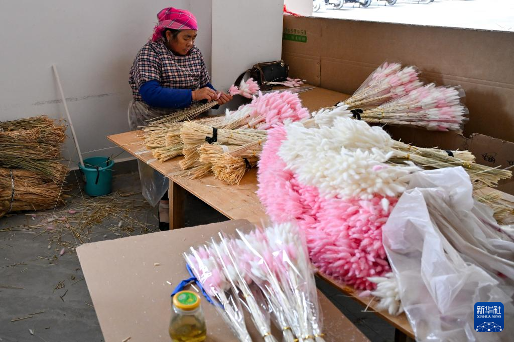 云南会泽:聚焦搬迁群众家门口就业需求