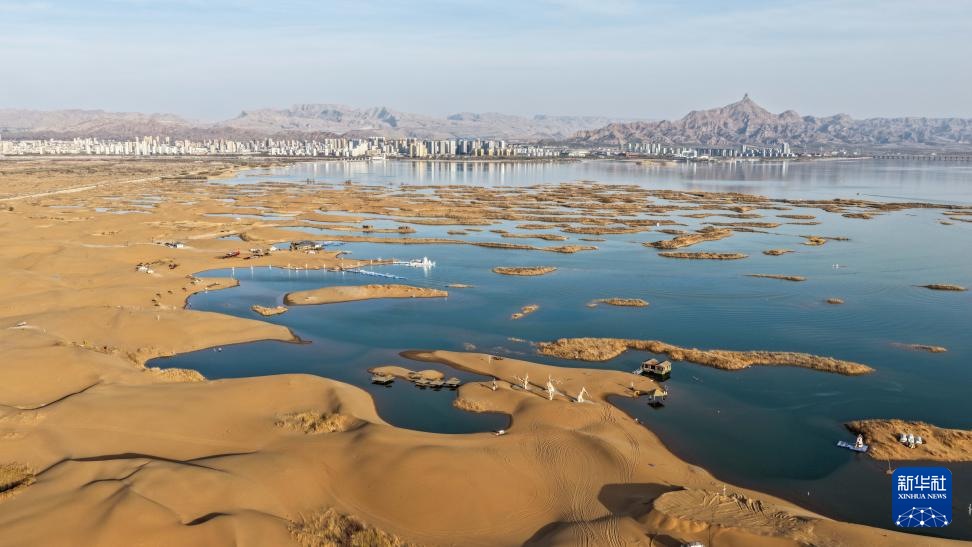 内蒙古乌海:沙水相依鸥翔集