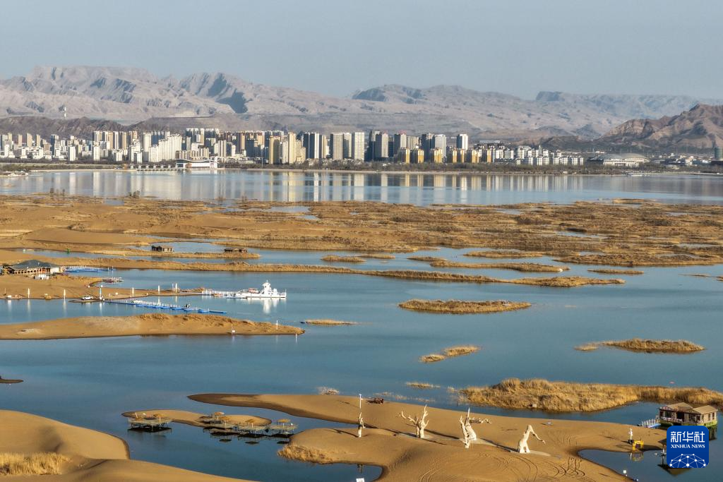 内蒙古乌海:沙水相依鸥翔集