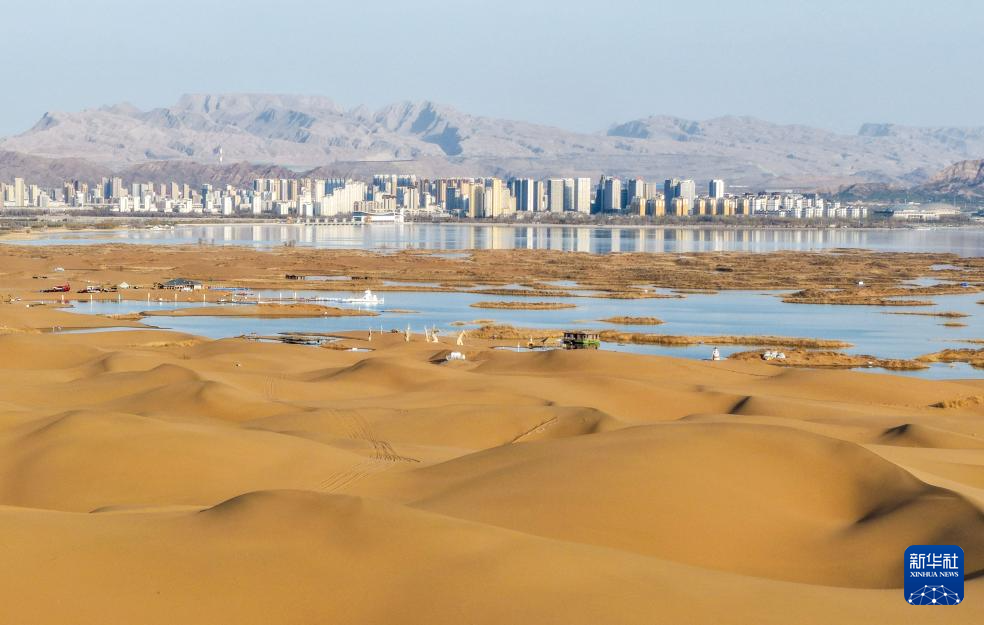 内蒙古乌海:沙水相依鸥翔集