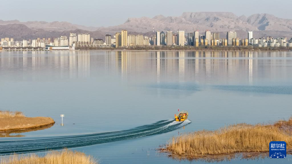 内蒙古乌海:沙水相依鸥翔集