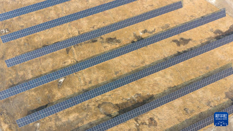 大庆油田:从传统油气向“多能互补”拓展升级