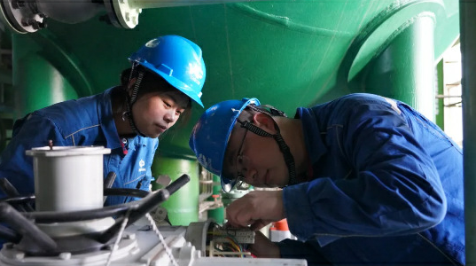 戈壁滩上的“活力密码” 戈壁滩上的“活力密码”