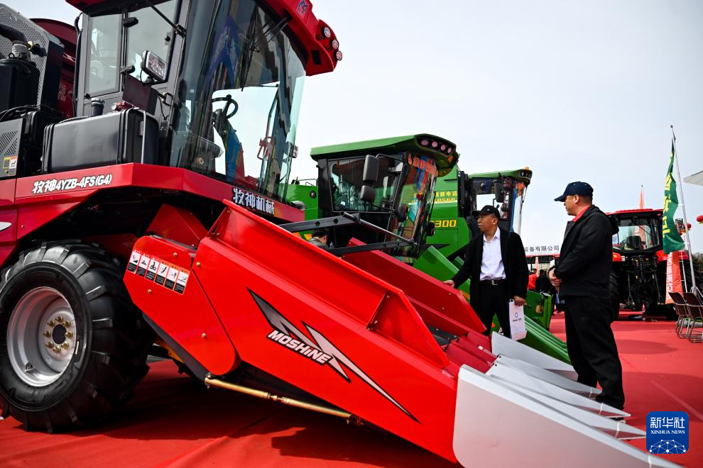 呼和浩特:农博会上人气旺